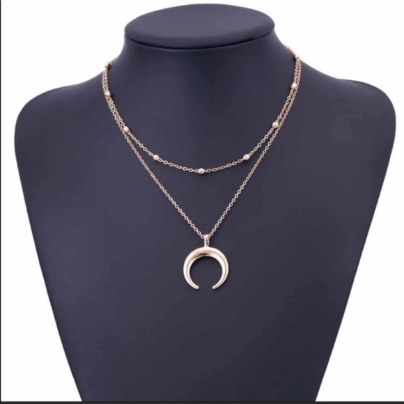 Multilayered Horn Necklace NEW! - Picture 1 of 2
